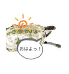 亀のあきちゃん☆（個別スタンプ：6）