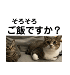 猫すちゃピッピ（個別スタンプ：11）