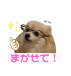 ポメラニアンのくぅーちゃん / Part1（個別スタンプ：35）