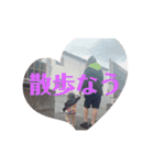 れれぴすたんぷ（個別スタンプ：5）