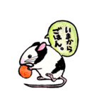 パンダマウス❤️（個別スタンプ：7）