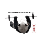 巨大熊猫の日々（個別スタンプ：6）