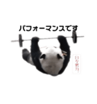 巨大熊猫の日々（個別スタンプ：7）