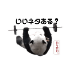 巨大熊猫の日々（個別スタンプ：8）