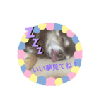 くるみとこのみ1（個別スタンプ：11）