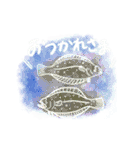 ダイバースタンプ①（個別スタンプ：11）
