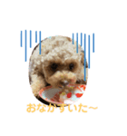 ツンデレぷりんちゃん♡（個別スタンプ：8）