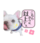 ペッパーくん2@フレンチブルドック（個別スタンプ：9）