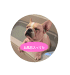 Jとママ（個別スタンプ：1）