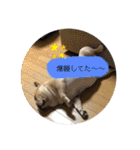 Jとママ（個別スタンプ：3）