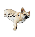 Jとママ（個別スタンプ：5）