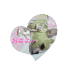 Jとママ（個別スタンプ：6）