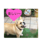 Jとママ（個別スタンプ：9）