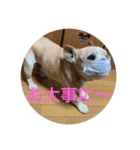 Jとママ（個別スタンプ：11）