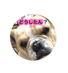 Jとママ（個別スタンプ：12）