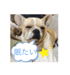Jとママ（個別スタンプ：13）