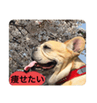 Jとママ（個別スタンプ：17）
