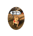Jとママ（個別スタンプ：31）