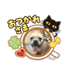 Jとママ（個別スタンプ：37）