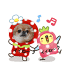 武居familiar4（個別スタンプ：10）