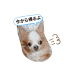 武居familiar4（個別スタンプ：14）
