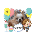武居familiar4（個別スタンプ：17）