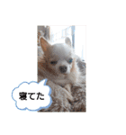 武居familiar4（個別スタンプ：23）