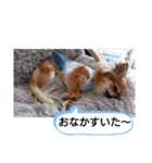 武居familiar4（個別スタンプ：33）