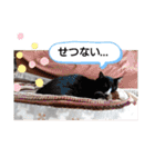 武居familiar4（個別スタンプ：35）
