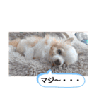 武居familiar4（個別スタンプ：37）