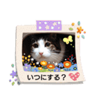 武居familiar4（個別スタンプ：40）