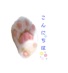 うめにゃん☆くりにゃん（個別スタンプ：3）