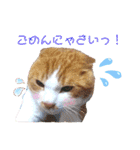うめにゃん☆くりにゃん（個別スタンプ：14）