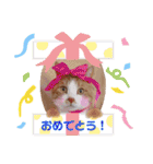 うめにゃん☆くりにゃん（個別スタンプ：16）