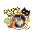 うめにゃん☆くりにゃん（個別スタンプ：26）