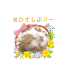 うめにゃん☆くりにゃん（個別スタンプ：28）