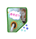 うめにゃん☆くりにゃん（個別スタンプ：29）