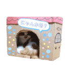 うめにゃん☆くりにゃん（個別スタンプ：32）
