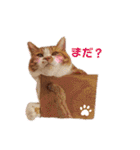 うめにゃん☆くりにゃん（個別スタンプ：33）