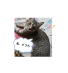 あんず SECOND（個別スタンプ：4）