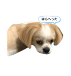 にこちっ（個別スタンプ：2）