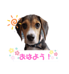 レイ_スタンプ（個別スタンプ：1）