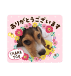 レイ_スタンプ（個別スタンプ：6）