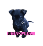 ニコさんの1991（個別スタンプ：4）