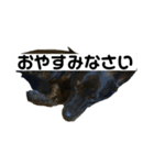ニコさんの1991（個別スタンプ：8）