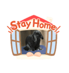 ステイホーム❤️（個別スタンプ：1）