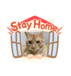 ステイホーム❤️（個別スタンプ：2）