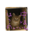 ステイホーム❤️（個別スタンプ：5）