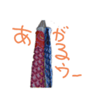 楽しく生きる‼️（個別スタンプ：7）