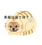 あらこたりん（個別スタンプ：4）